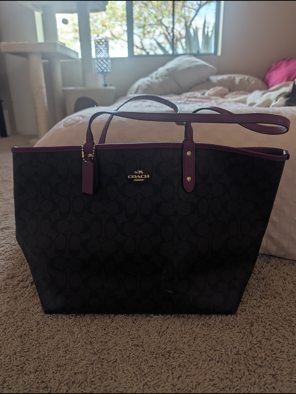 Coach Brown Signature Tote with Purple Trim and Straps